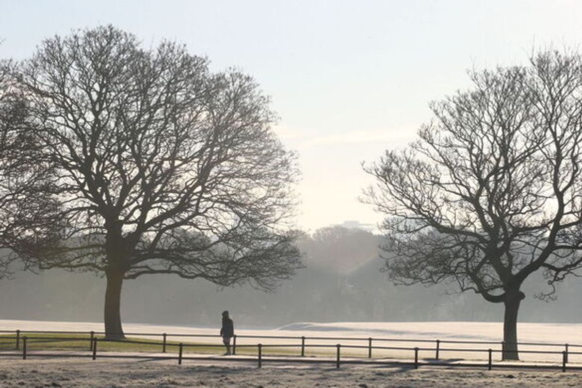 Phoenix Park (stock)