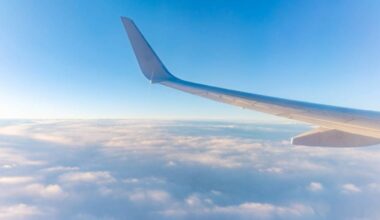 Another major airline cancels all flights to the U.S.