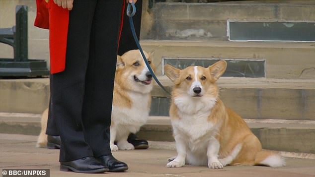 The late Queen's beloved corgis - Muick and Sandy - on the day of her funeral  on September 19, 2022