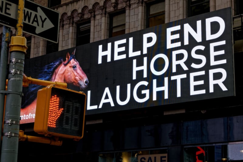 A large digital billboard shows a horse and the text "HELP END HORSE LAUGHTER." A pedestrian crossing signal and street signs are visible in the foreground, with a building facade in the background.