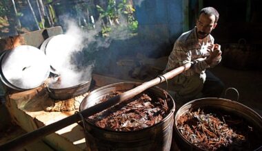 Single-dose of ayahuasca’s active compound could help ease depression, research finds