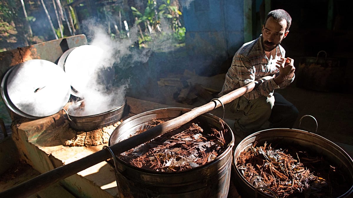 Single-dose of ayahuasca’s active compound could help ease depression, research finds