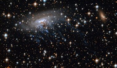 This is the spiral galaxy ESO 137-001, the first Jellyfish Galaxy discovered. Ram pressure has stripped some of its gas and stretched into long filaments that dangle in one direction like jellyfish tentacles. Now astronomers have discovered another candidate jellyfish galaxy, but this one appears much earlier in the Universe, surprising astronomers. Image Credit: ESA/Hubble, CC BY 4.0, https://commons.wikimedia.org/w/index.php?curid=31544838