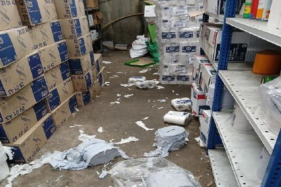 The storeroom after the fox had entered it