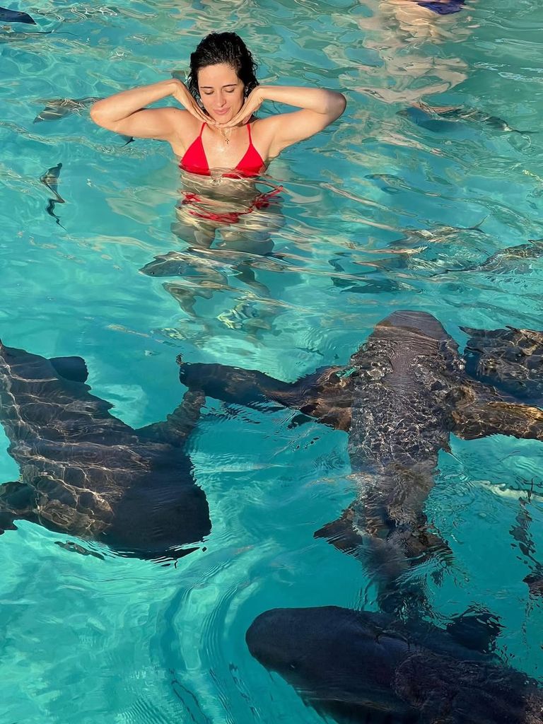 camila cabello swimming with fish