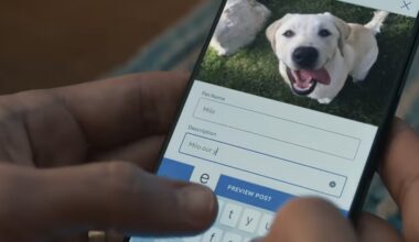 Ring Offers New Tool for Owners of Lost Pets