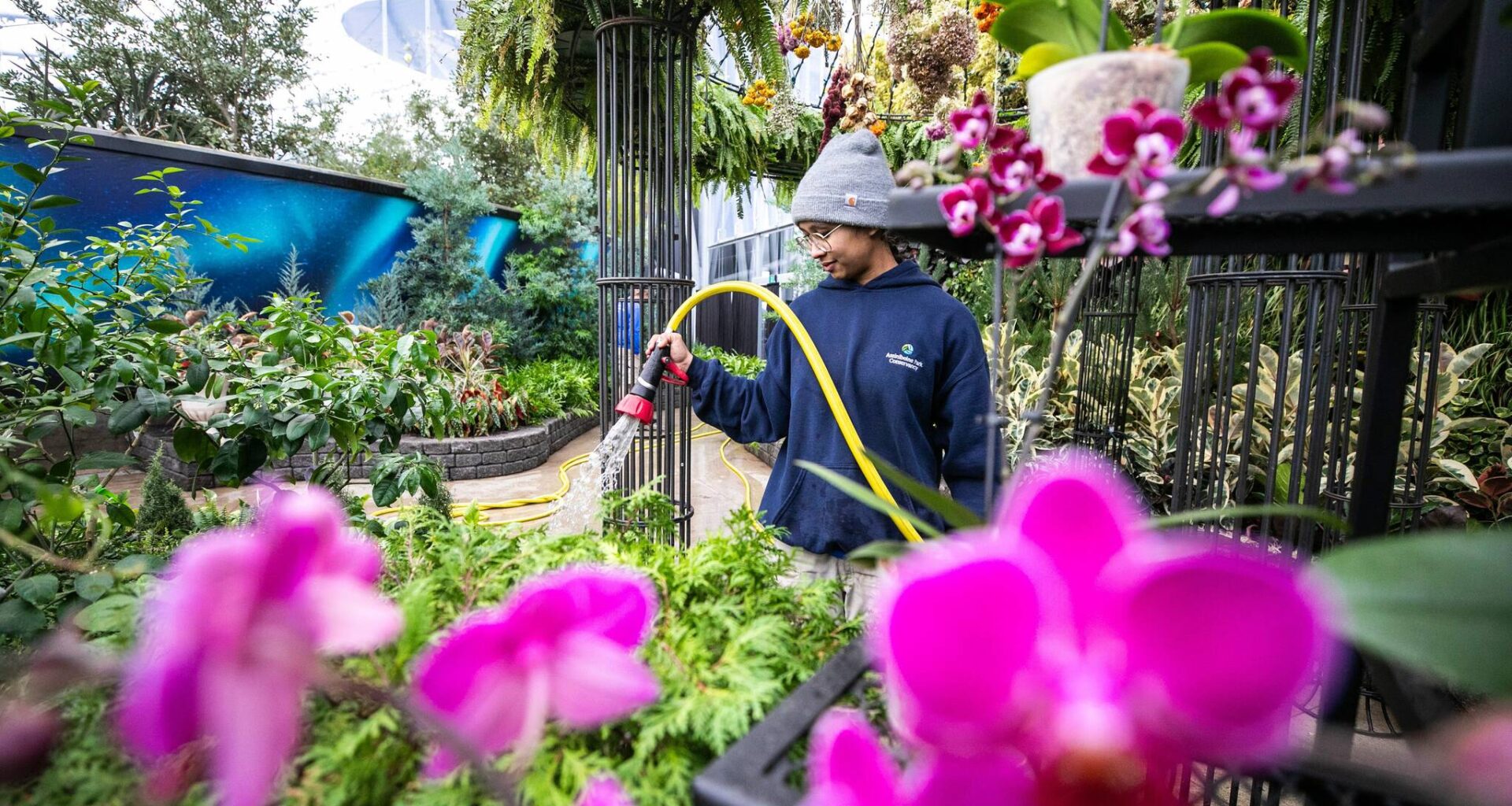 Nature’s healing power – Winnipeg Free Press