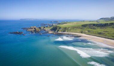 ‘Cows on a beach never fail to surprise me’ – 10 walks you may not have heard of in Ireland