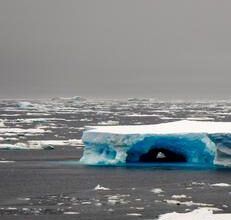 Unexpected climate feedback links Antarctic ice sheet with reduced carbon uptake