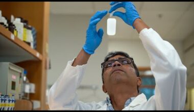 Stowers Institute Scientific Director Kausik Si, Ph.D., explains how precisely regulated amyloids—and the chaperone proteins that control them—enable the brain to store experience, opening new avenues for understanding memory and treating neurological disease.