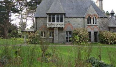 Owner of historical south Dublin house submits plans for ‘homeless hub’