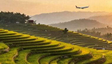 Vietnam’s Tourism Recovery and Global Recognition Set the Stage for a Transformative 2026, with Bold Targets for International Arrivals and Sustainable Growth