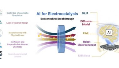 Lessons from three decades and a roadmap ahead