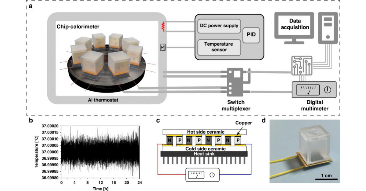 A new calorimetric chip enables faster antimicrobial susceptibility testing