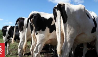 Lower pollution during Covid boosted methane: study