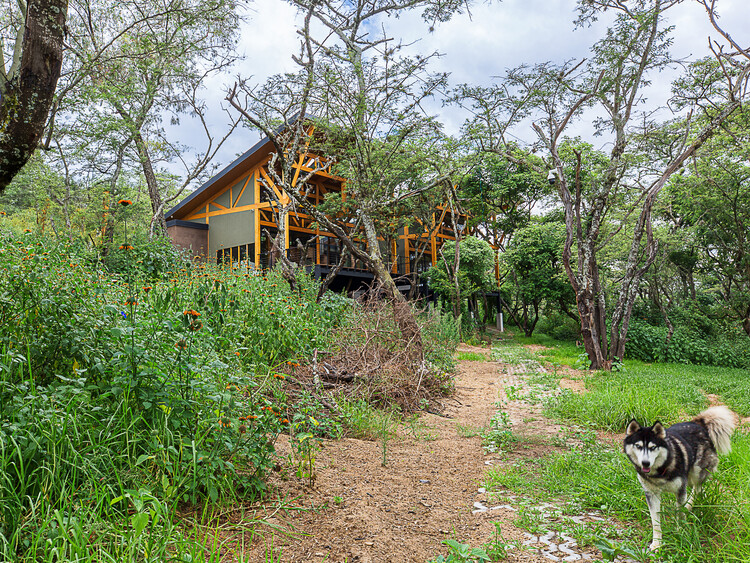 House in the Woods / Espinoza Carvajal Arquitectos - Exterior Photography, Wood