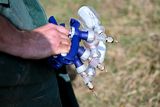 thumbnail: This photograph shows vaccines after a vaccination campaign on cows in France.  (Photo by LOU BENOIST/AFP via Getty Images)