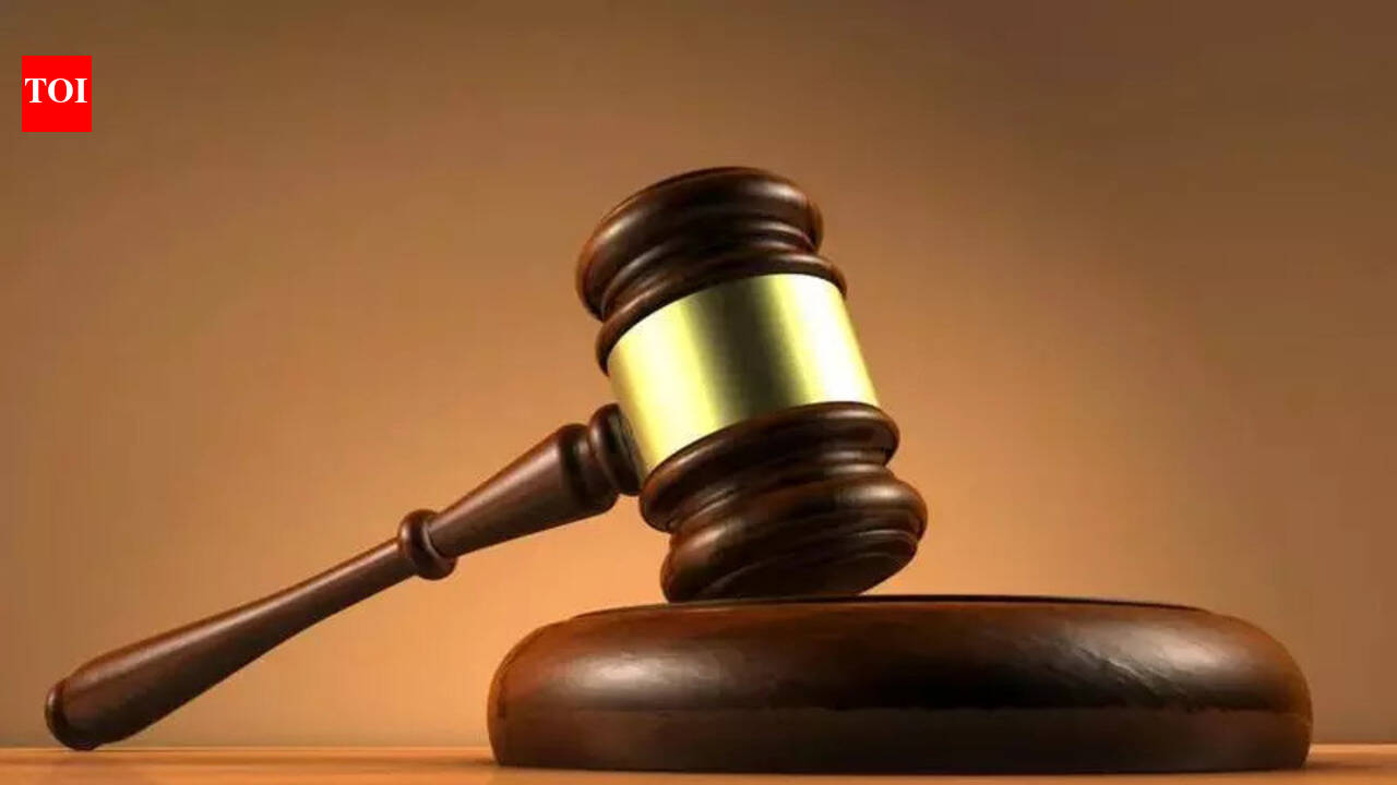 HC dismisses retired Army officer’s plea for pension benefits from PSERC re-employment | Chandigarh News