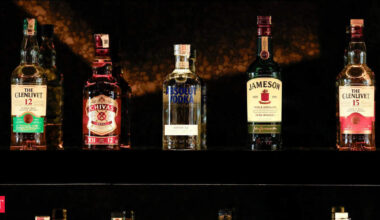 Pernod Ricard launches inquiry after raid on Indian warehouse