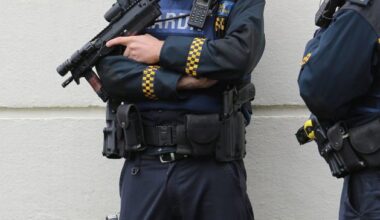 Armed gardaí deployed to arrest axe-wielding man roaming Wexford beauty spot