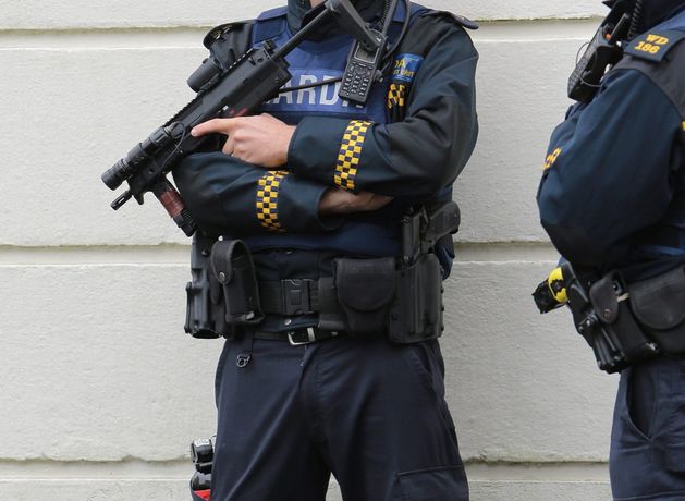 Armed gardaí deployed to arrest axe-wielding man roaming Wexford beauty spot