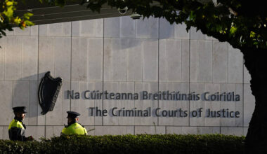 Canadian tourist's head was 'treated like a football' in fatal Dublin assault, court hears