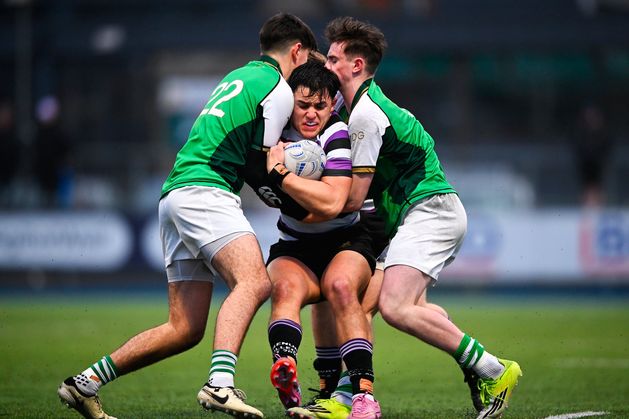 Four-try Ethan Balamash inspires Terenure to big win over Gonzaga in Leinster Senior Cup quarter-final