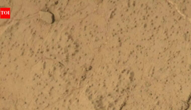 NASA Curiosity rover detected the largest organic molecules ever found on Mars, revealing ancient life clues