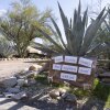 A sign of support stands near Nancy Guthrie's driveway. The sign says: "Dear Guthrie Family, Your neighbors stand with you." The sign stands in front of a large succulent plant next to the gravel driveway.