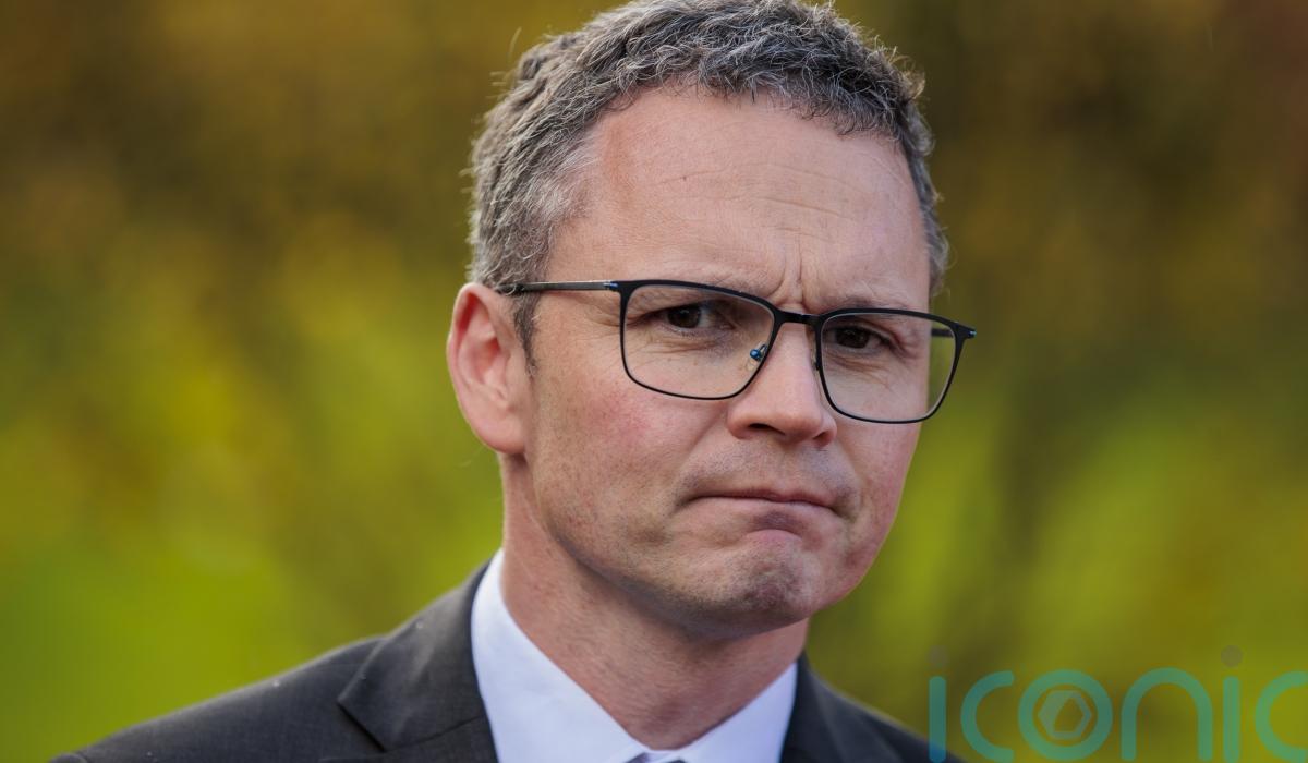 Weekly income of 325 euros for artists will ‘set Ireland apart’ – minister