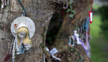 Ancient burial discovery by local sleuths has brought renewed focus on wind farm plans – The Irish Times
