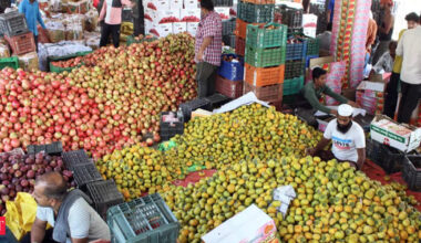 CPI’s new method skewed; UP and Maharashtra account for nearly half of newly added markets, says SBI