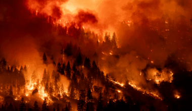 There May Be No Turning Back This Climate Crisis – Mother Jones