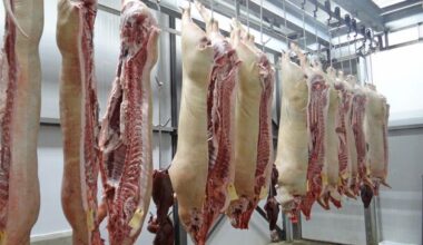 Potential redundancies at Waterford abattoir as over 200 jobs hang in the balance