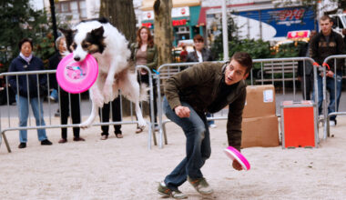 Yahoo entertainment home