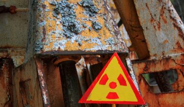 Cladosporium sphaerospermum Chernobyl. Credit: Bildagentur-online, Getty