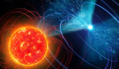 Exotic white dwarf binary systems may produce mysterious radio pulses