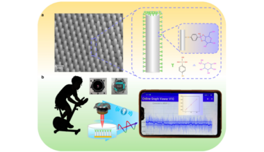 A wearable optical system for glucose detection