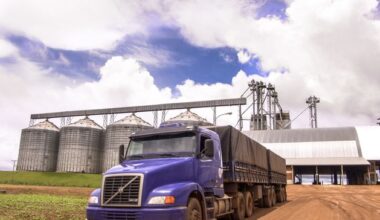 Cheap imports, costly consequences: why Ireland must question Mercosur food