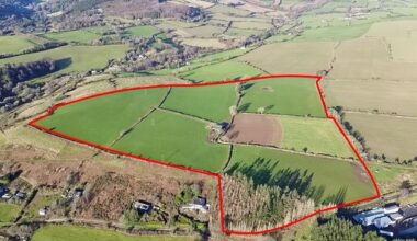 €15,000/ac for 33ac of land just outside Avoca