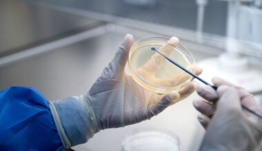 Ancient bacteria found frozen in cave is resistant to 10 types of modern antibiotics