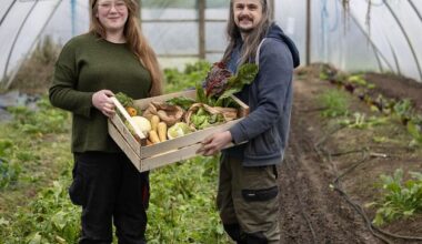 How this Kilkenny couple produce €100,000 of veg from half an acre every year