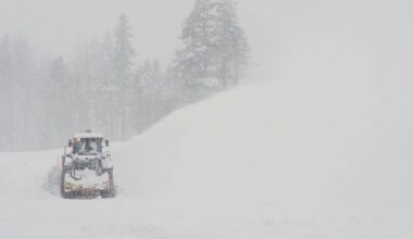 Eight skiers found dead and one still missing after California avalanche