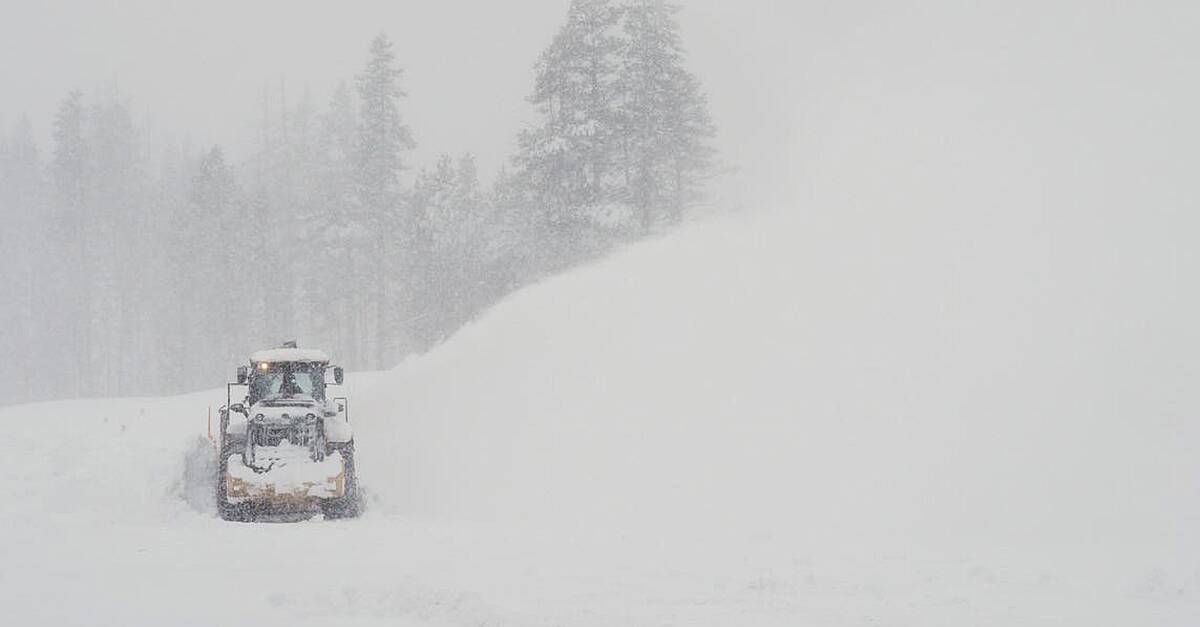 Eight skiers found dead and one still missing after California avalanche