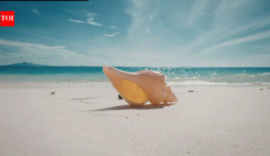 World’s biggest sea snail: The Australian trumpet is nearly the size of a human leg and hunts hidden prey |