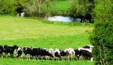 Nature Trail: Agri-environment schemes a familiar part of modern farming