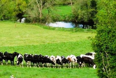 Nature Trail: Agri-environment schemes a familiar part of modern farming