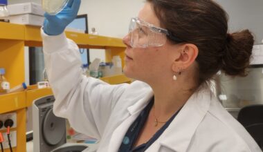 Genome Science Revolutionizes Wheat Stem Rust Battle