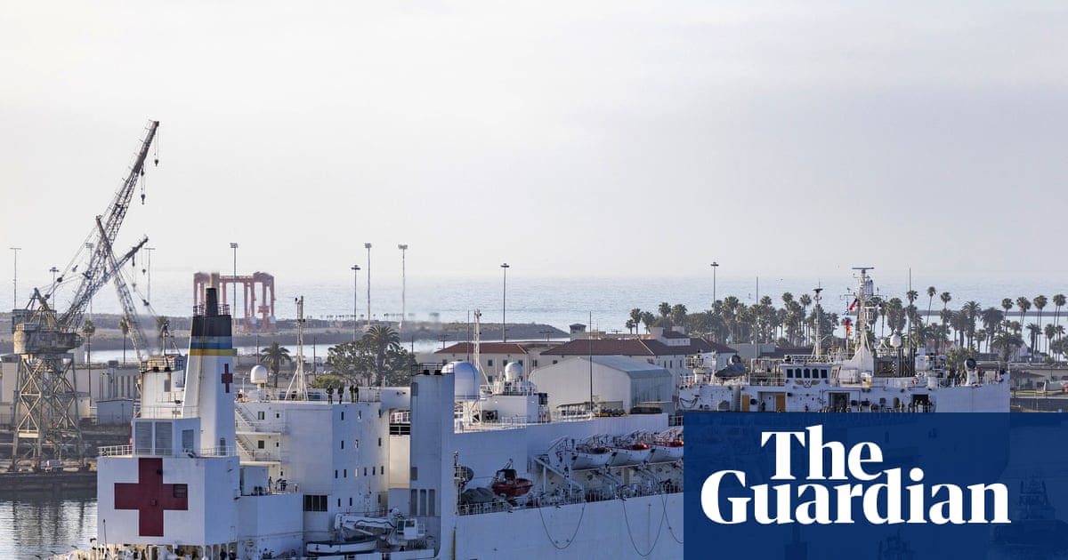 Greenland says ‘no, thanks’ to Trump’s US hospital boat | Greenland