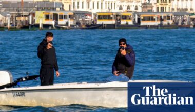 Humans – not Mimmo the dolphin – need managing in Venice lagoon, say scientists | Dolphins
